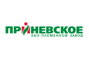 Приневское